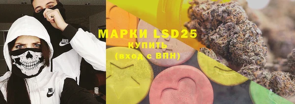ГАЛЛЮЦИНОГЕННЫЕ ГРИБЫ Балахна