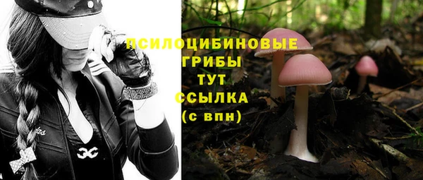 тгк Балабаново
