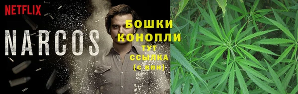 ГАЛЛЮЦИНОГЕННЫЕ ГРИБЫ Балахна