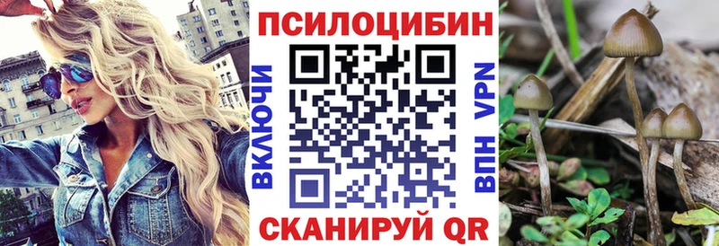 мориарти официальный сайт  Белогорск  Псилоцибиновые грибы MAGIC MUSHROOMS 